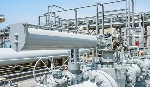 Check valve introduce