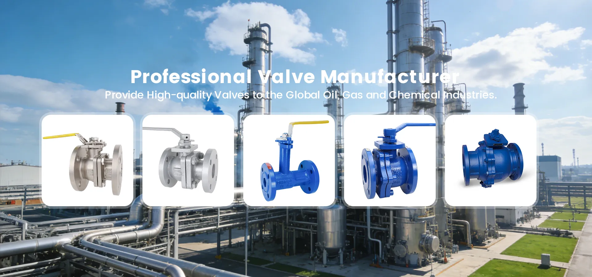 Professional<br>Valve Manufacturer